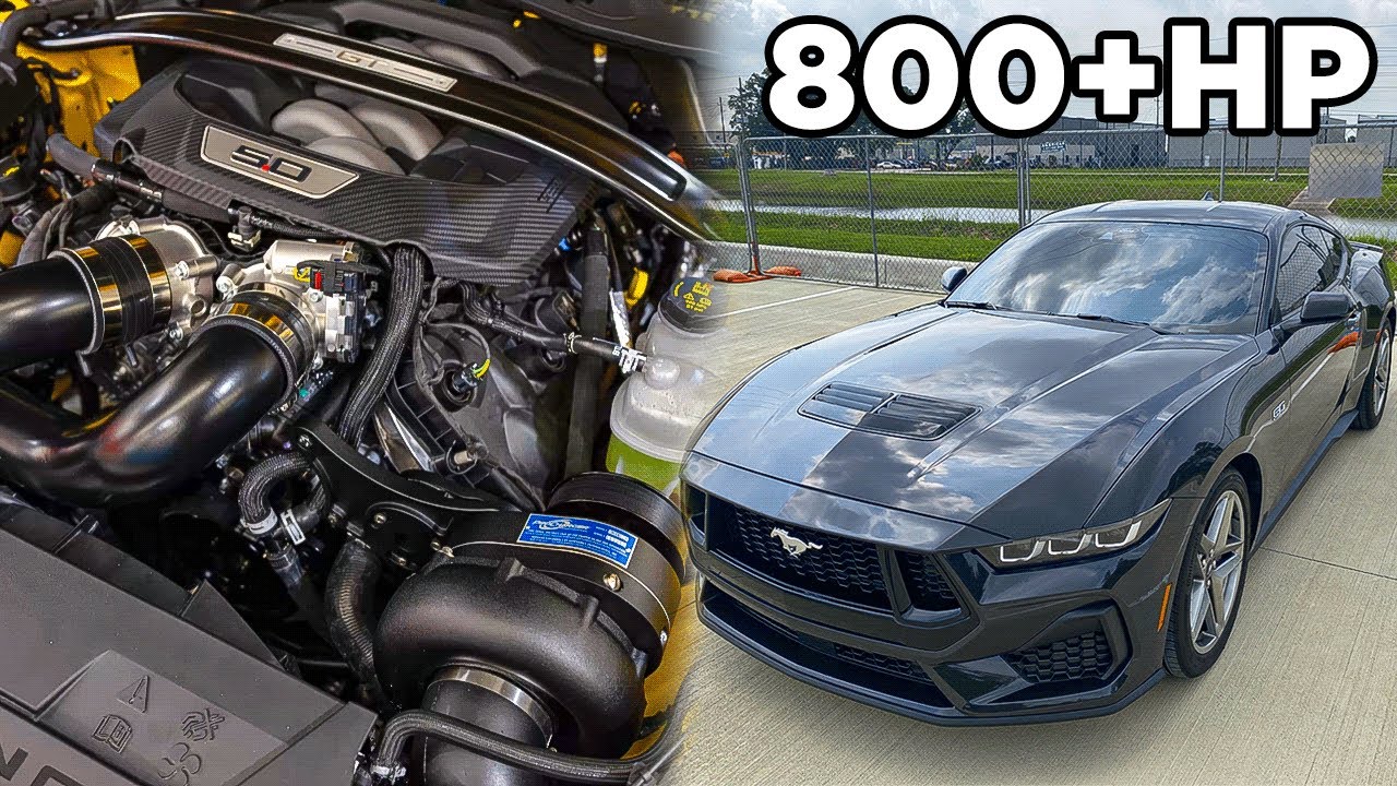 NEW 800+HP PROCHARGER 2024 MUSTANG SUPERCHARGER IS HERE!!! (DYNO PULLS)