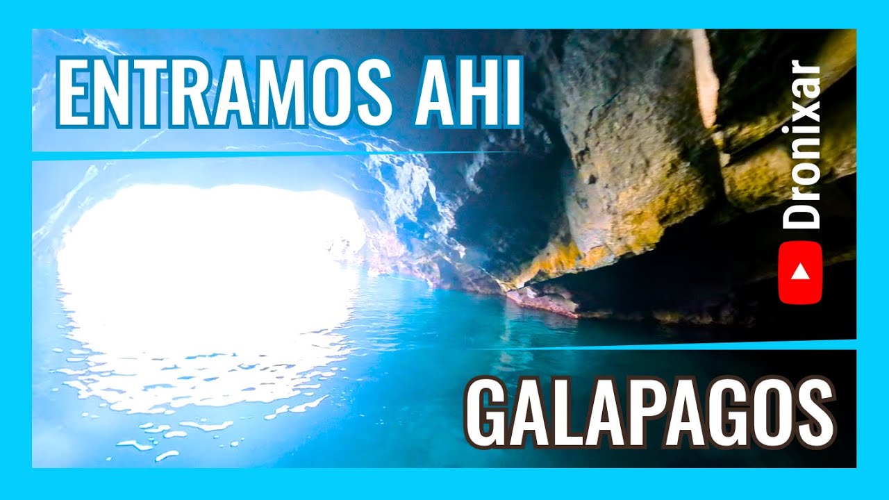 Esto NO pasa en ningún otro lugar del mundo - GALAPAGOS PARTE 6 - 4k UHD
