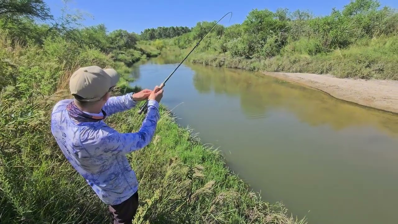 INCREIBLE pesca en arroyo de tornasoles y un gran DORADO en Entre R&iacute;os, Argentina!. #pesca #pescaria