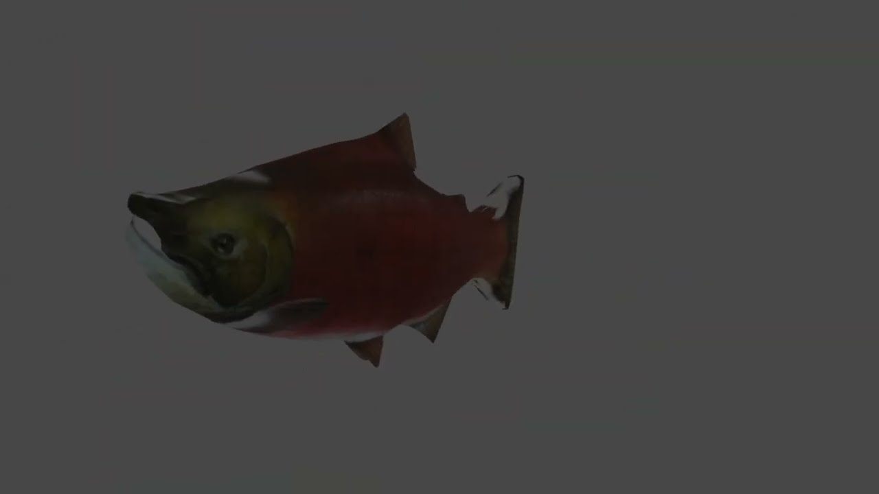 FISH (turn on subtitles)