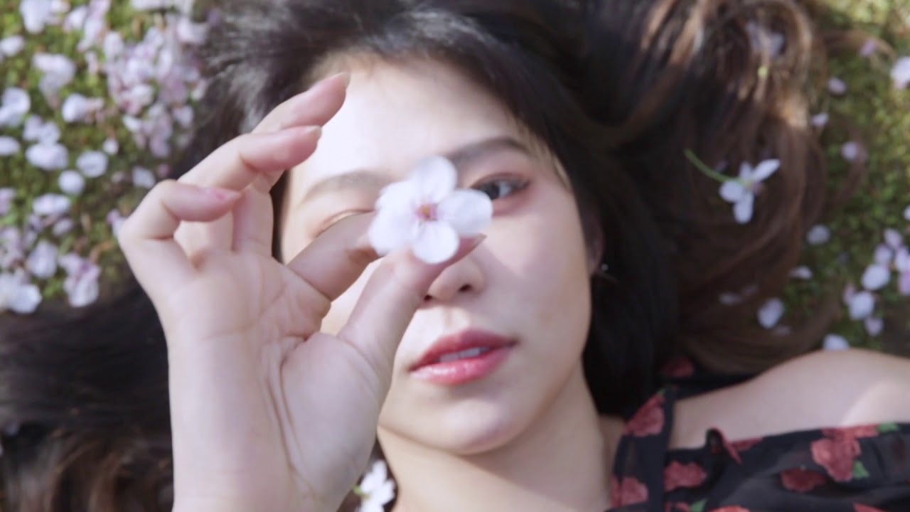 君についていくよ（追光者 日文版 梦娜Monna填词）