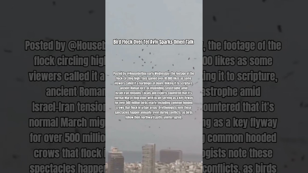 Bird Flock Over Tel Aviv Sparks Omen Talk Amid Migration Season
