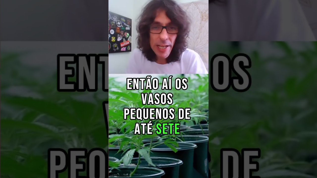 QUAL O TAMANHO CERTO DE VASO? 