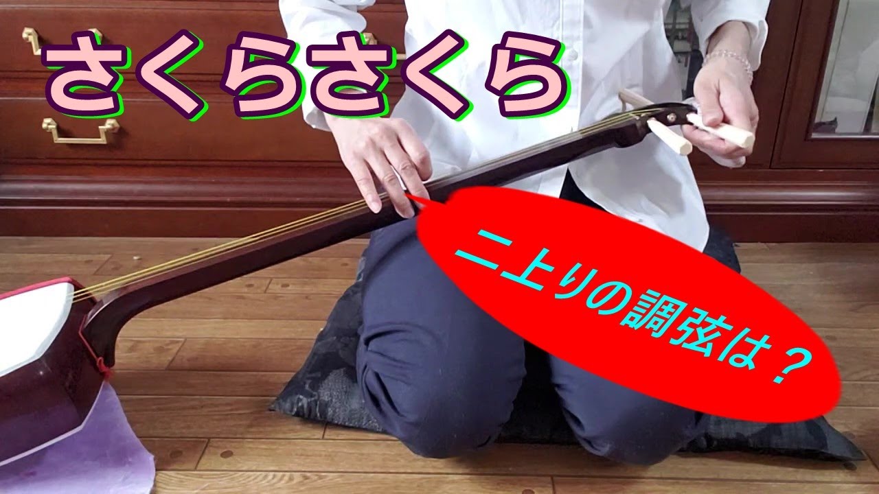 三味線独学の基礎授業　二上りの「さくらさくら」を文化譜を見ながら弾く。本調子と二上りの調弦方法の確認も　 learn the shamisen　＃調弦＃チューニング＃文化譜＃初心者
