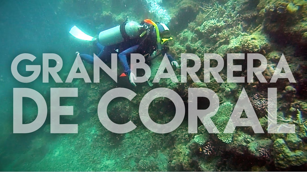 El paraíso del submarinismo | #18 Gran Barrera de Coral, Australia