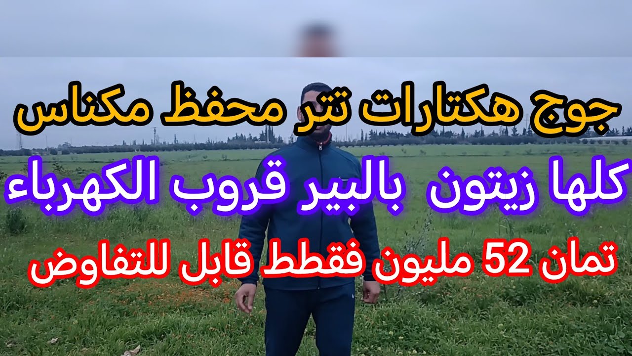 ارض فلاحيه تتكون من جوج هكتارات تيترمحفظه نوحي مكناس سبع عيون
