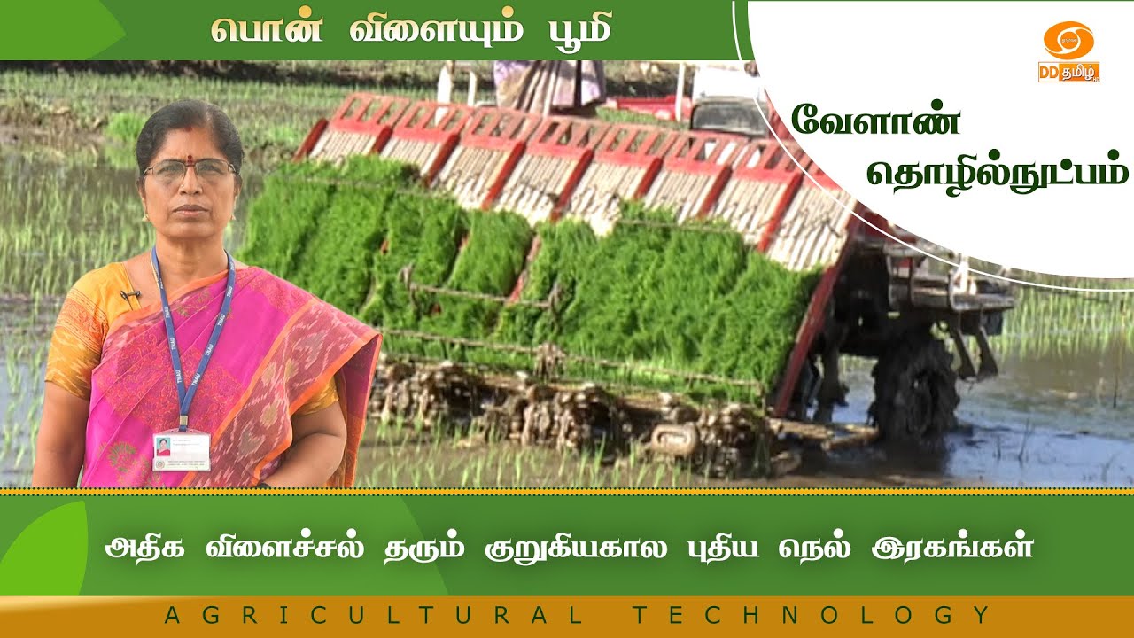 அதிக விளைச்சல் தரும் குறுகியகால புதிய நெல் இரகங்கள் | Agriculture Technology