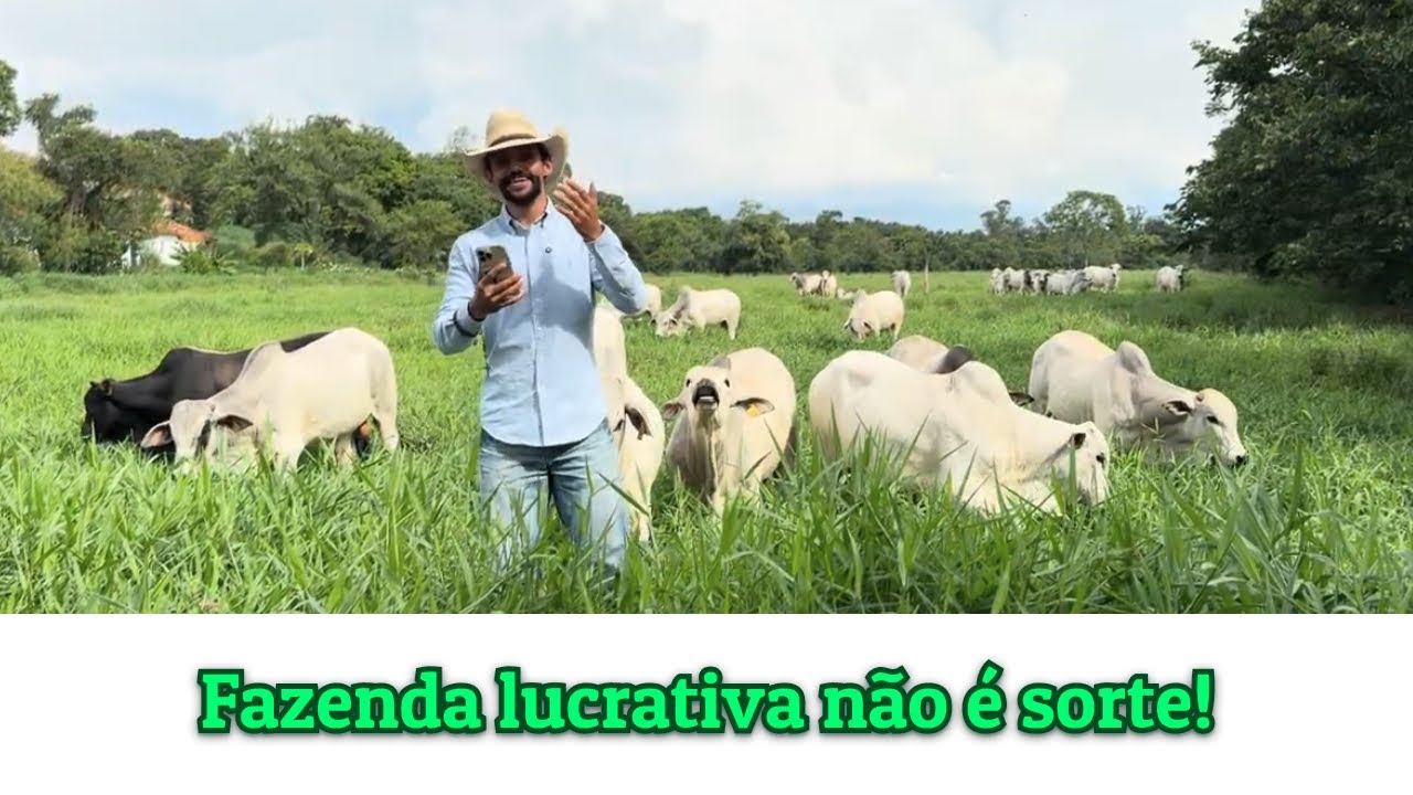 Essas 4 Coisas Mudaram Minha Pecuária — e Podem Mudar a Sua Também