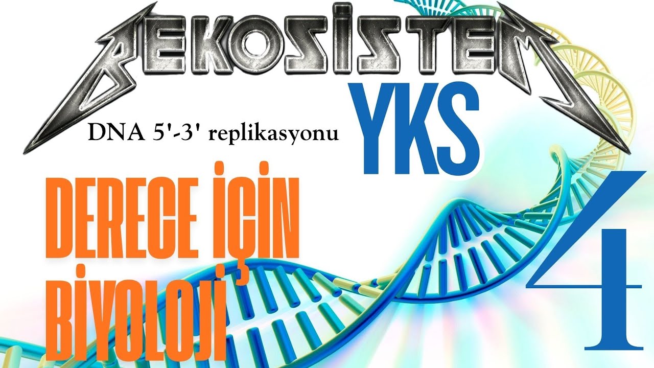 DNA 5'-3' REPLİKASYONU