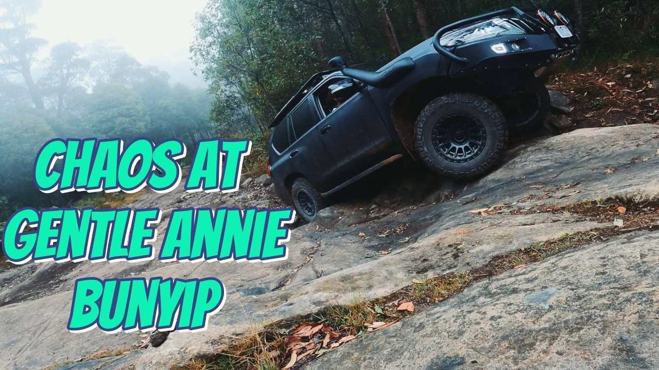 Chaos at Bunyip Gentle Annie Track