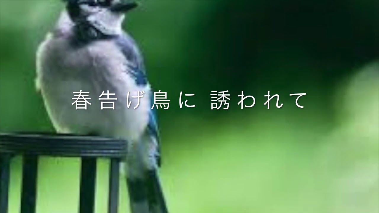 「夢の花」　歌：増田空人（ますだあきひと）