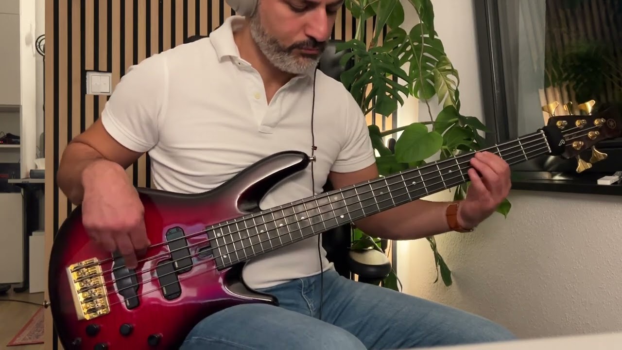 Bu kız beni görmeli - Berkay Bass Cover