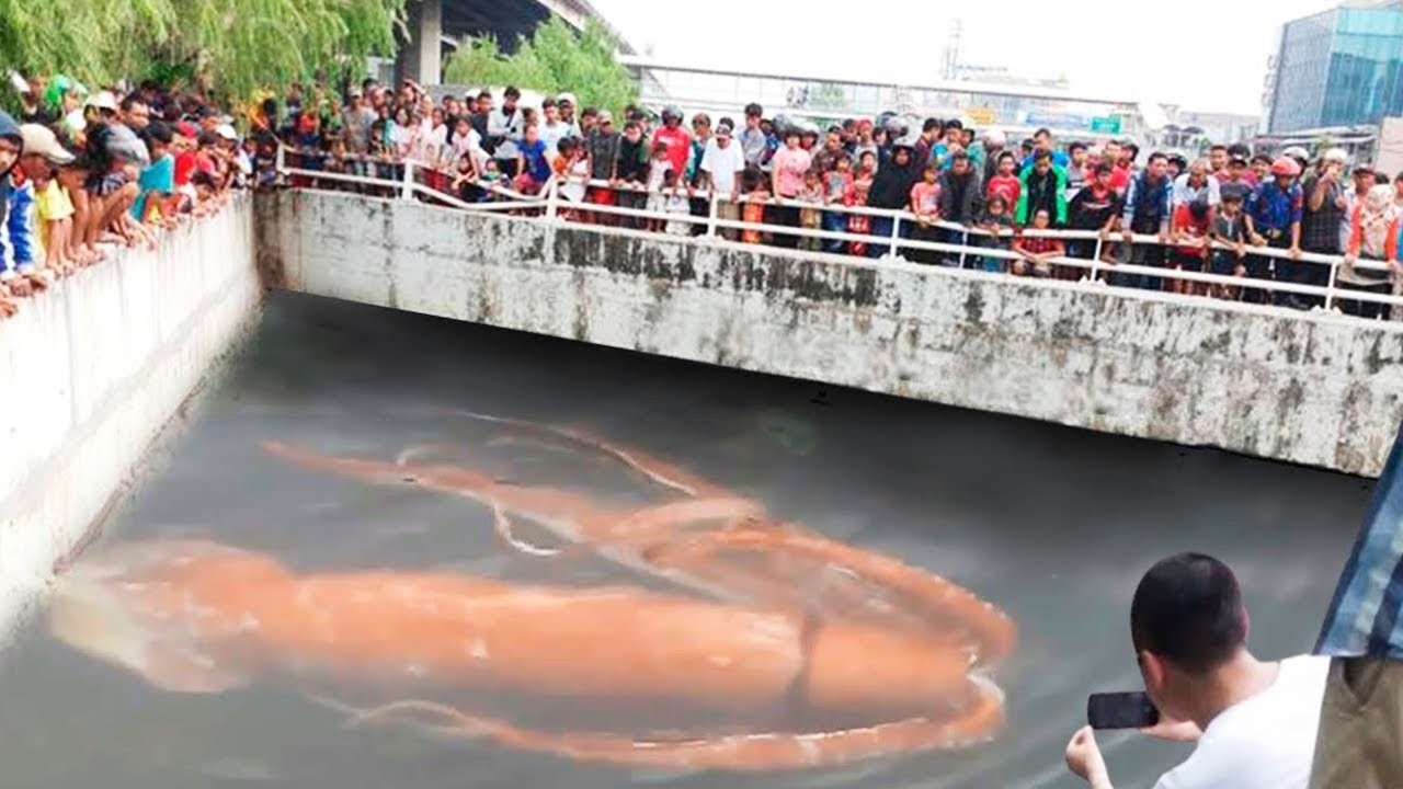 15 Coisas BIZARRAS Descobertas Recentemente Debaixo de Pontes