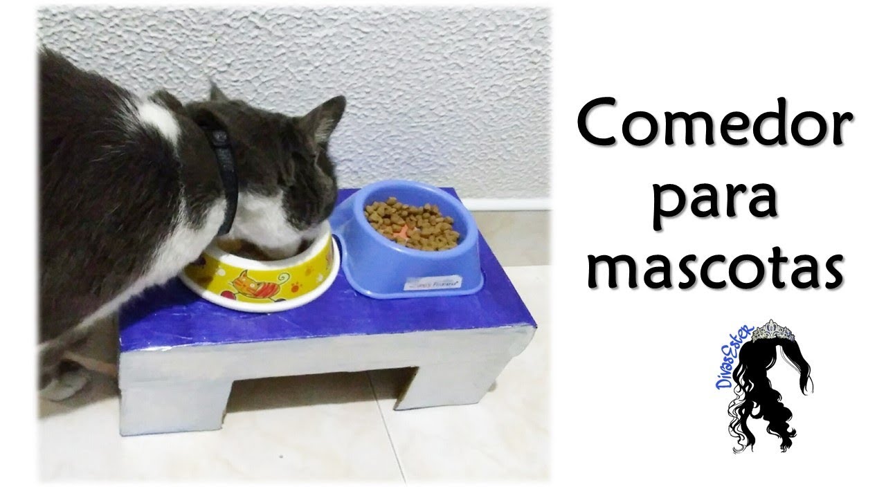 Comedor para comida de gatos hecha en cartón 😻 DIY reciclando carton