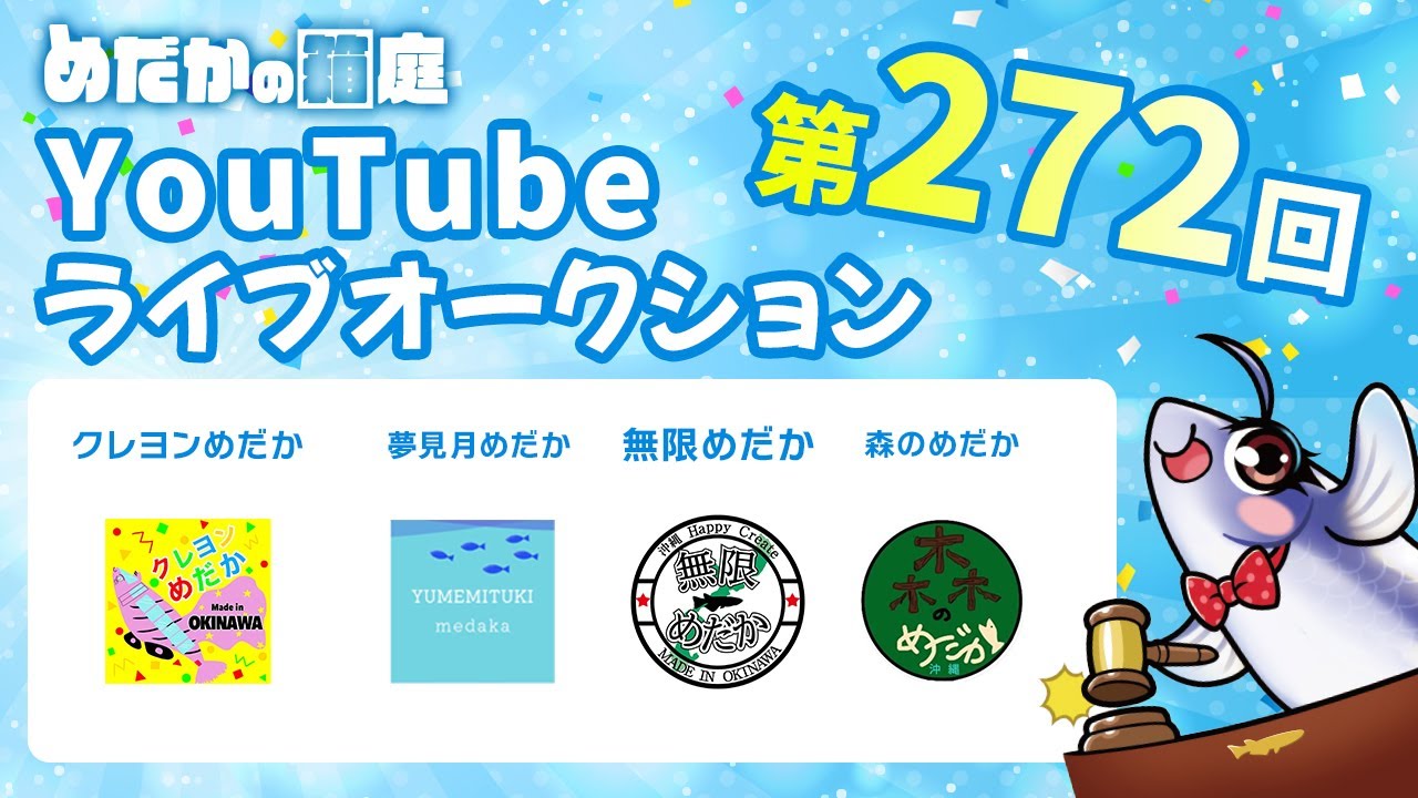 めだかの箱庭 第272回 Youtubeライブオークション