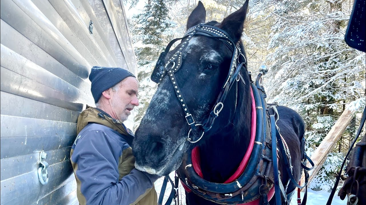 Грустные новости… Посвящение Баку № 437