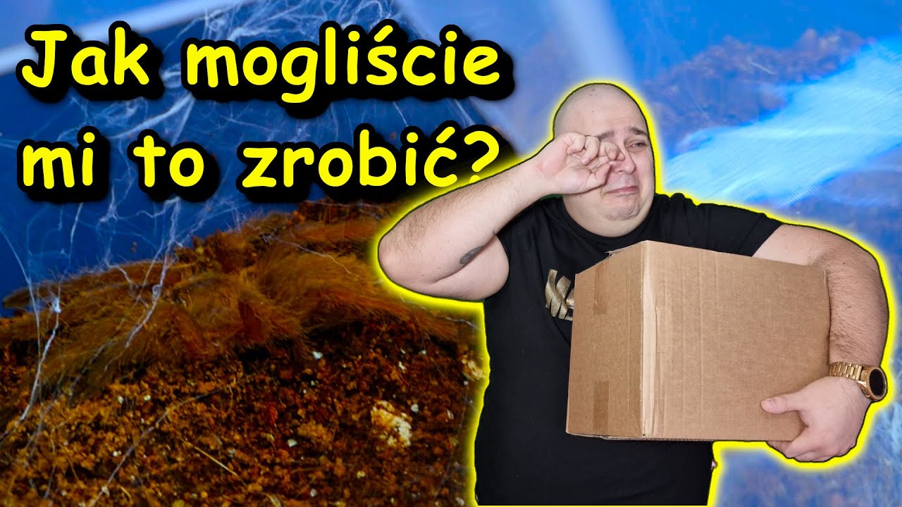 Najlepsza paczka jaką dostałem w życiu!!! Same wspaniałe gatunki!!!!