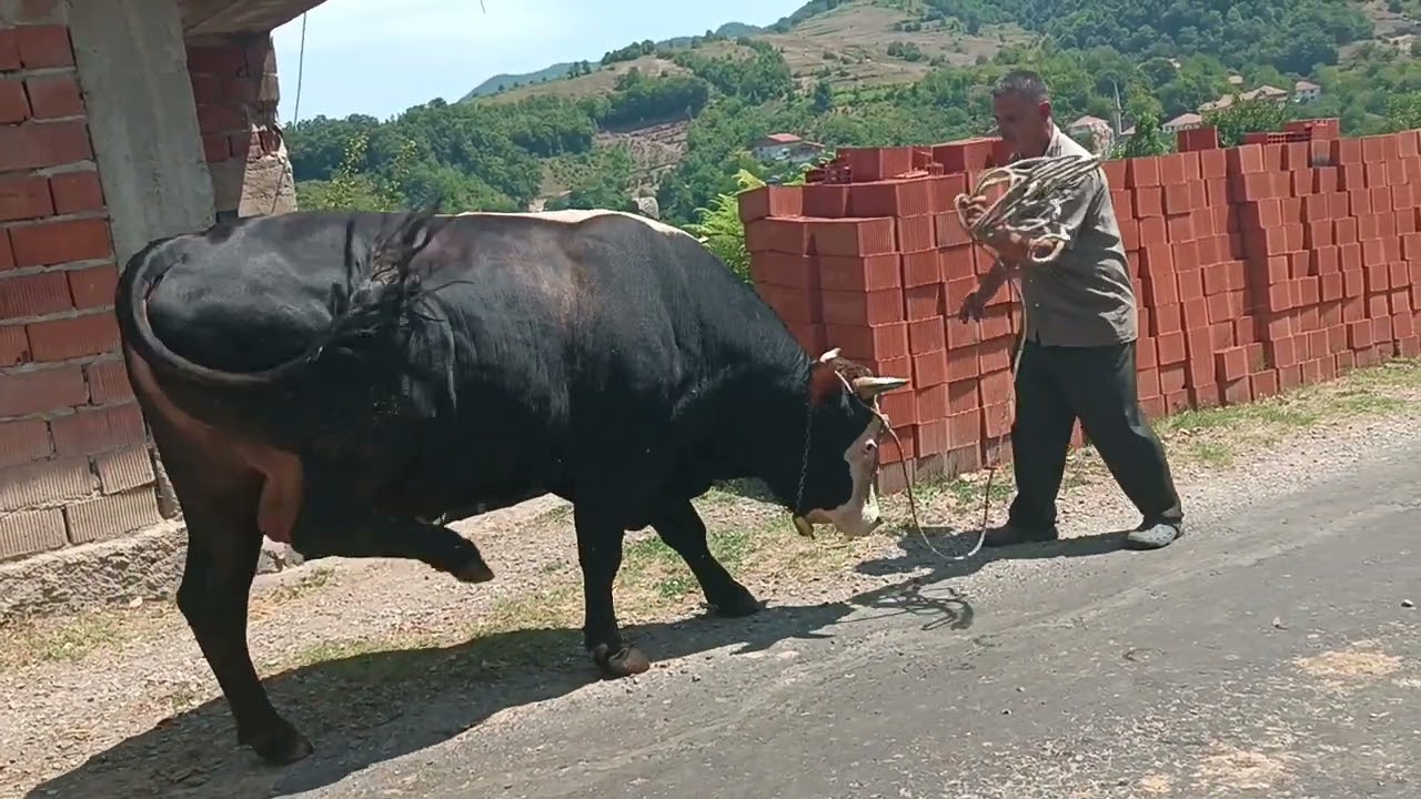Zonguldak
