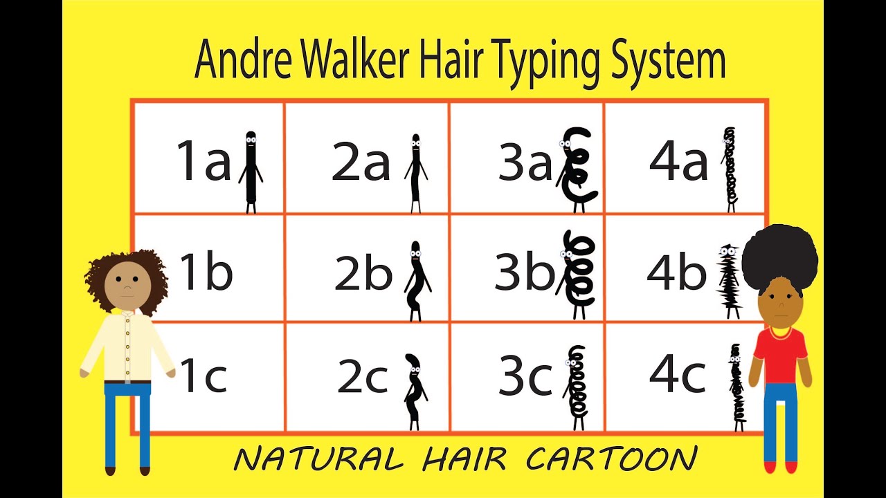 What is Hair Typing? | All About Hair Typing with Andre Walker's Hair Typing System