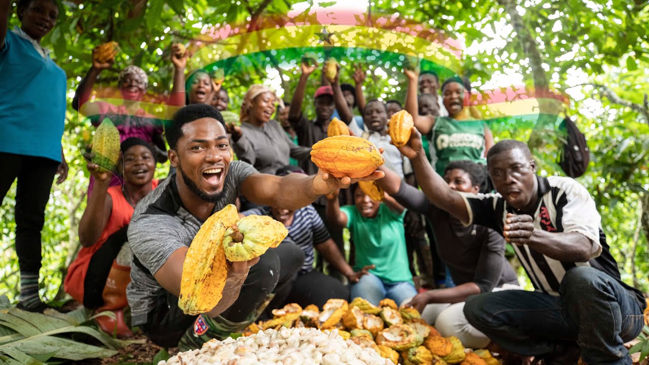 From Cacao Tree To Chocolate Bar || BUSINESS THAT CURES POVERTY