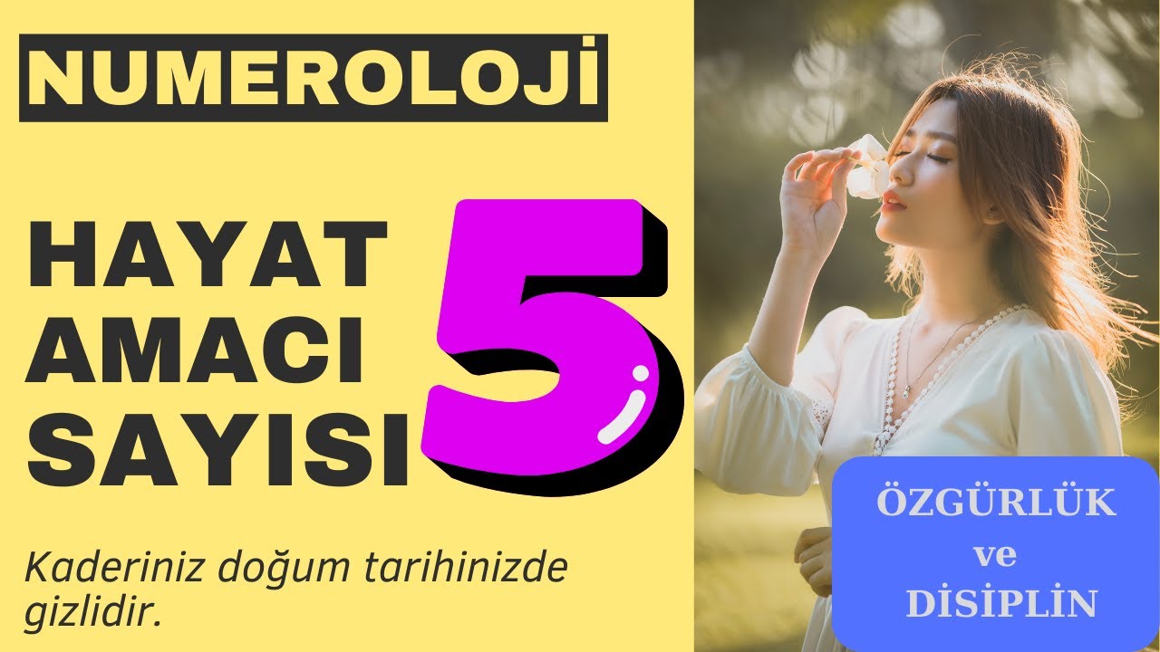Hayat Amacı Sayısı 5- &Ouml;zg&uuml;rl&uuml;k ve Disiplin, Dan Millman, Numeroloji