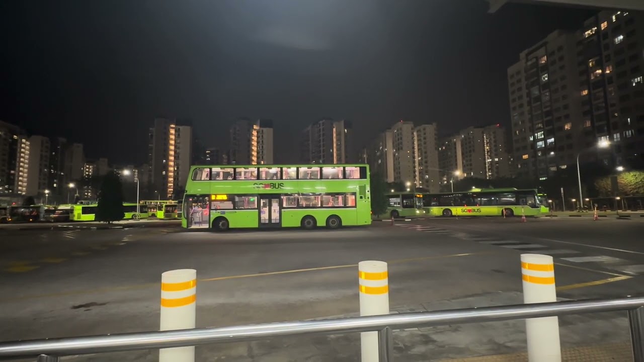 My Lovely Bus