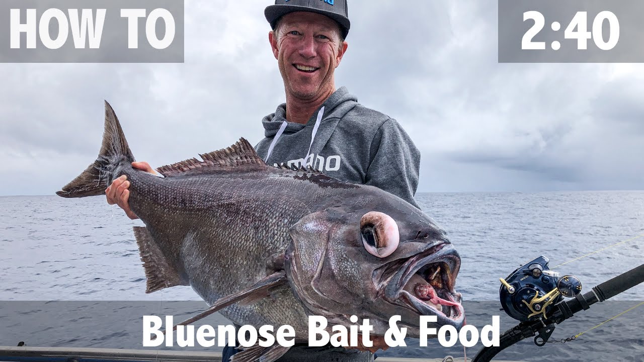 Bluenose Bait and Food