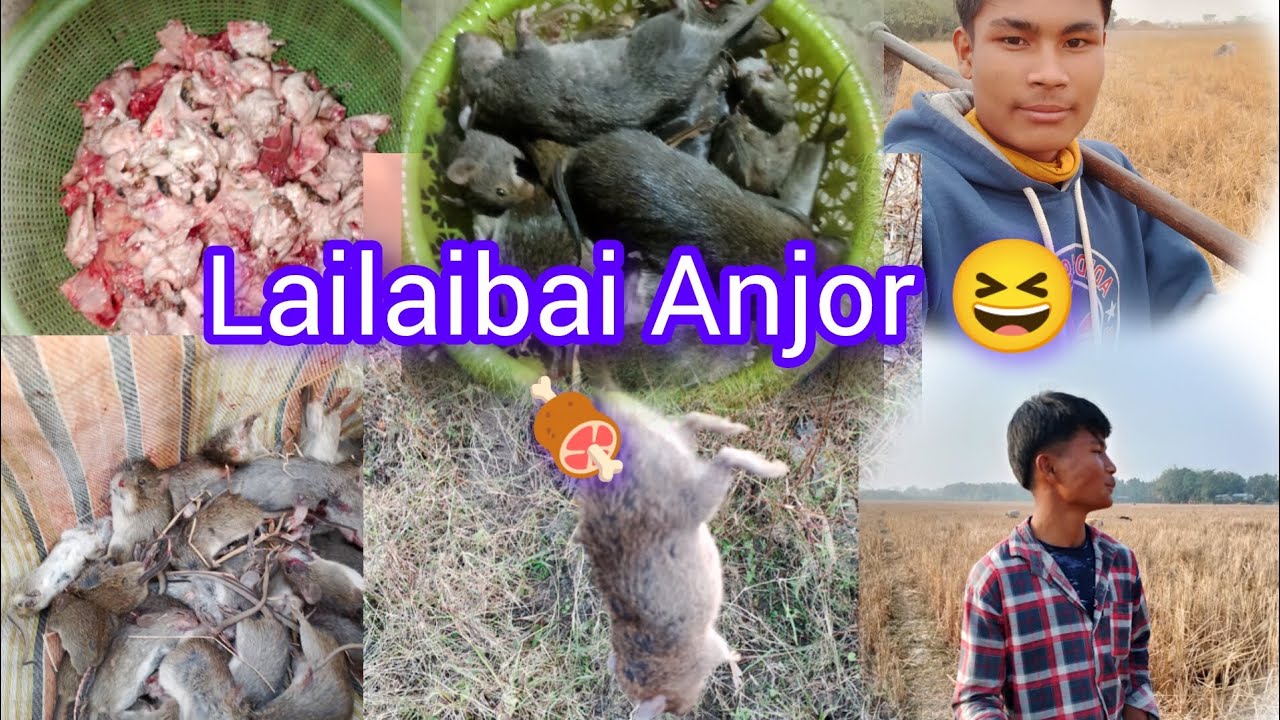 Lailaibai Anjor Lwgwfwr 🍖🍖😆😆🐹🐹🐹🦫#food #facts #funny #vlog #nature #villagelife #vews 