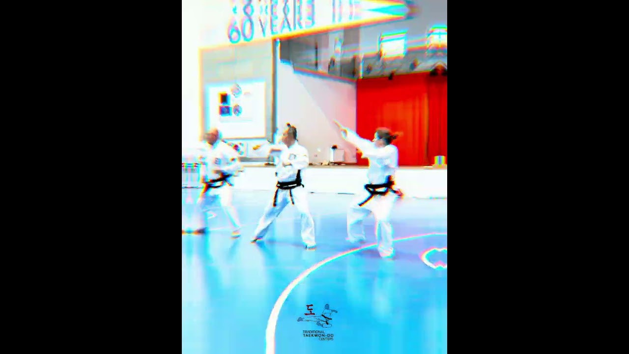 🇪🇺 60 Jahre Traditionelles Taekwon-Do in Europa! 🥋✨