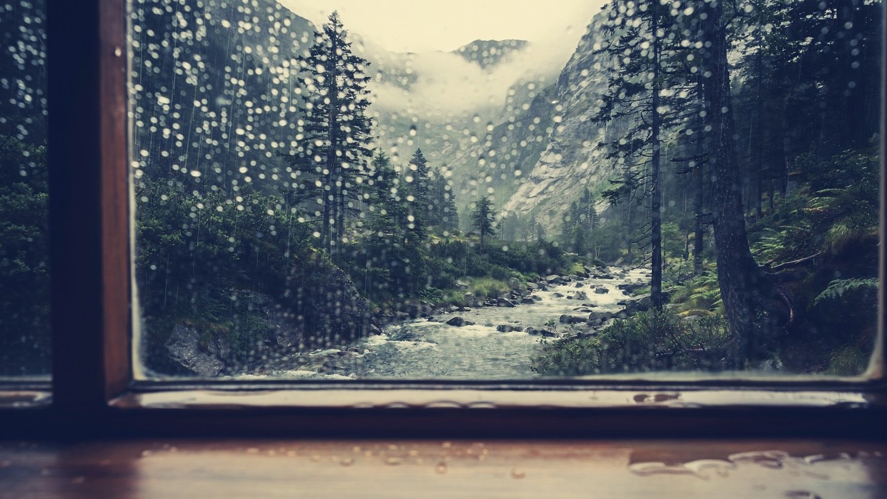 窓際から見た雨の渓流｜森の静寂に包まれて｜安眠・不眠症・リラックス用Rainy Stream Memories | Peaceful Ambience
