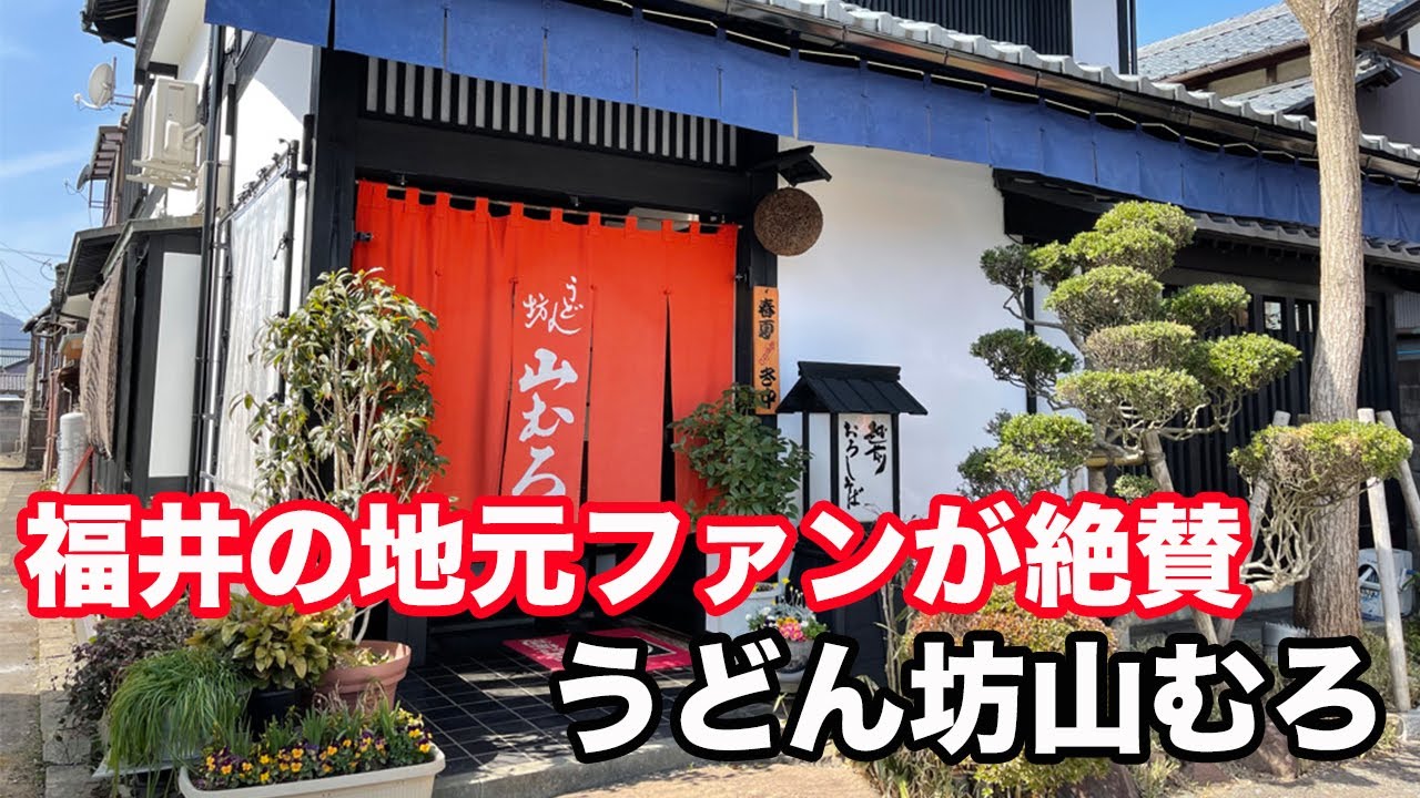 福井県越前市ランチ　地元ファンが絶賛！！　うどん坊　山むろ　中華そば、おろしそば　北陸グルメ