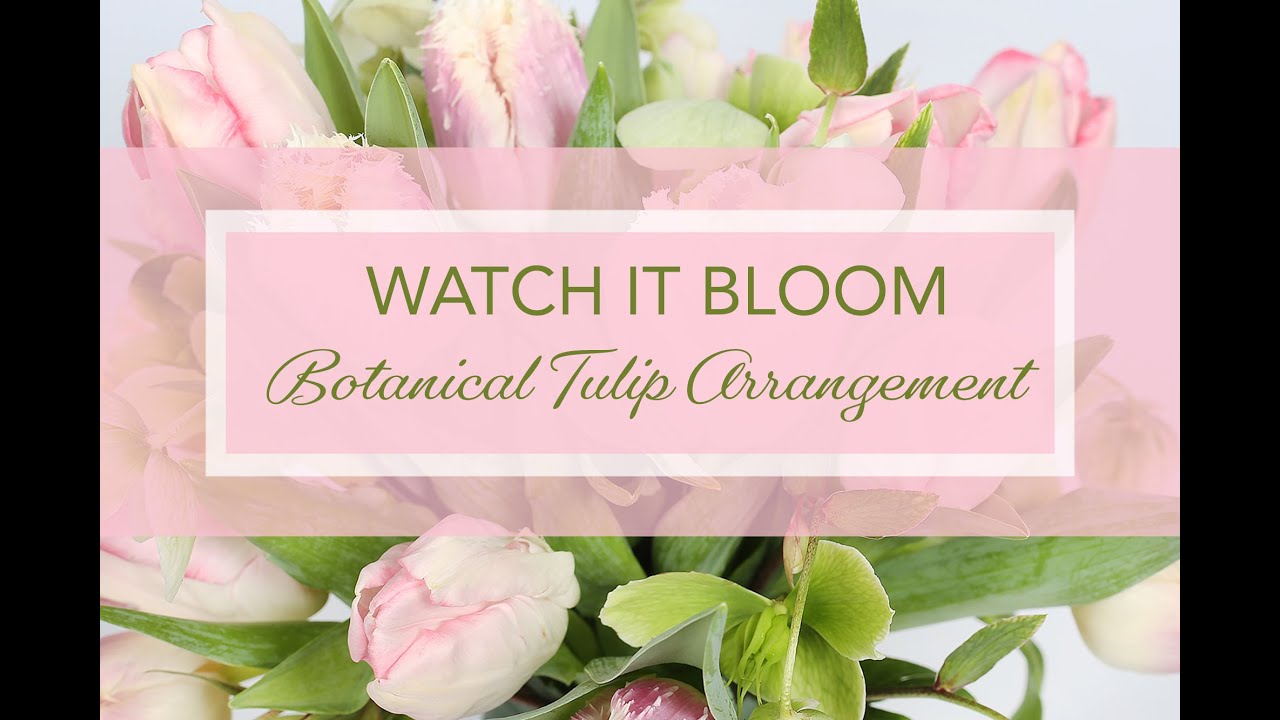 Botanical Tulip Vase Arrangement