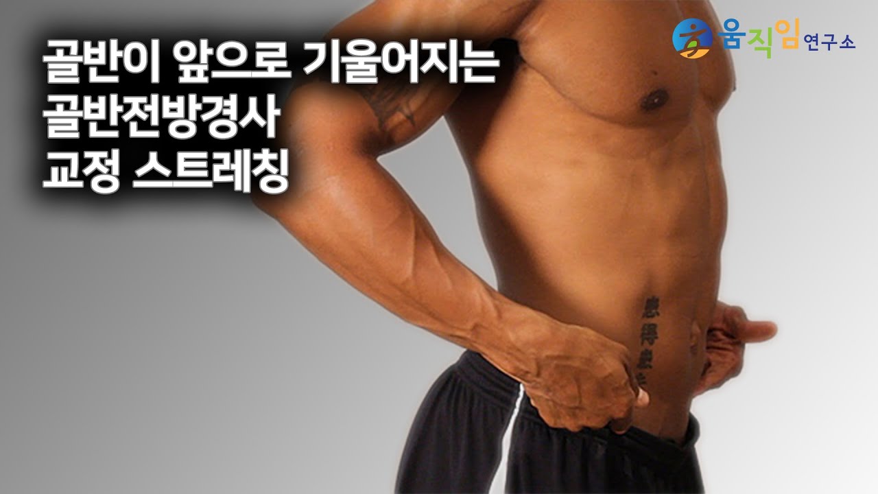골반전방경사를 바로잡으려면 꼭 알아야 하는 가장 중요한 3가지 필수 스트레칭