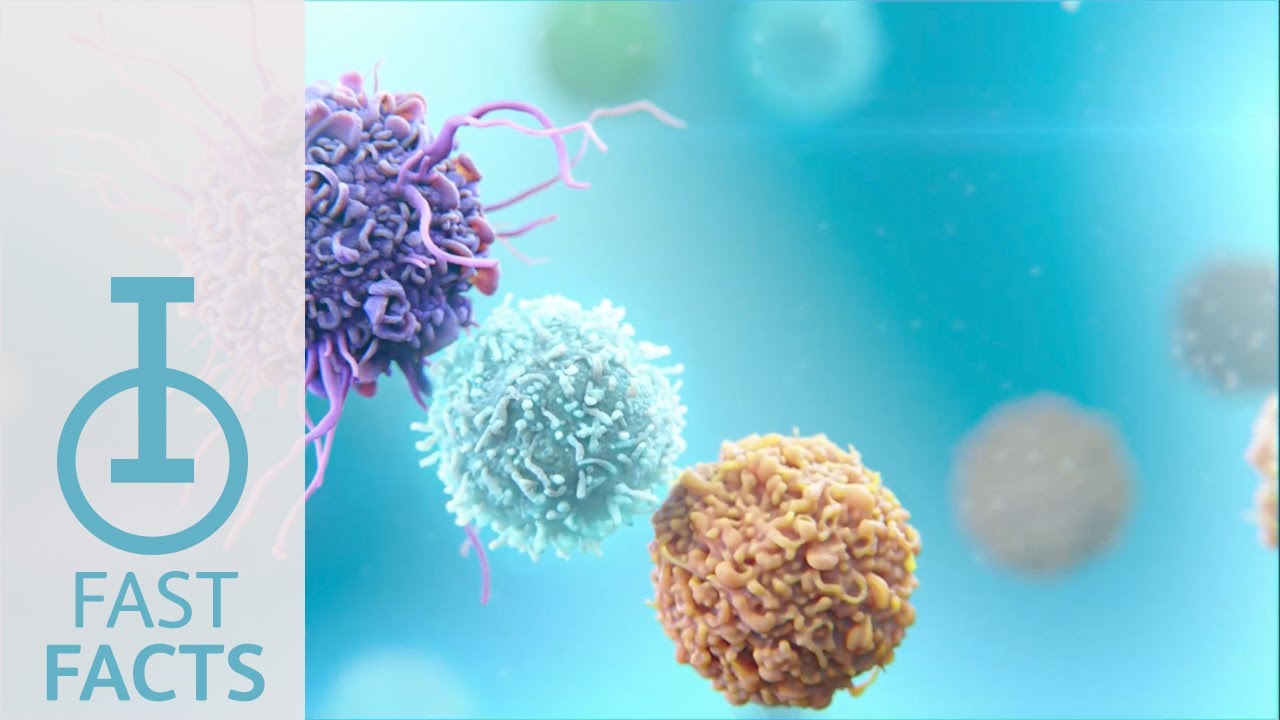 The synergy of LAG-3 and other immune checkpoint pathways in cancer