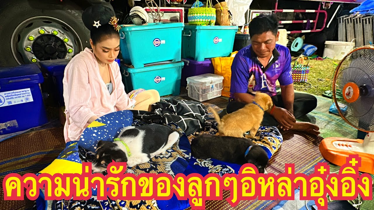 พากันตื่นมาหยังยามนี้น้อ? ความน่ารักของลูกๆอิหล่า #อุ๋งอิ๋งเพชรบ้านแพง