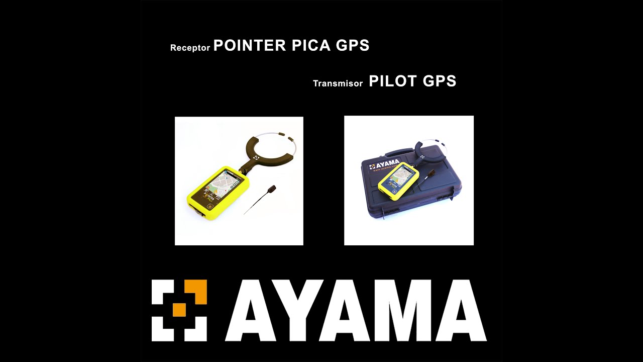 Consejos prácticos 1 Pointer Pica/Pilot