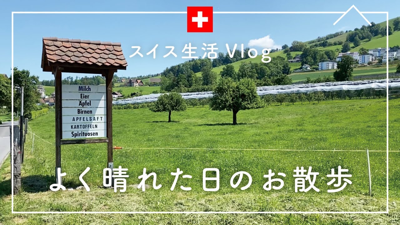 スイス生活vlog｜週末、よく晴れた日のお散歩｜海外生活｜海外暮らし