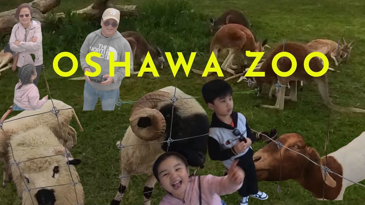 Zoo in Oshawa