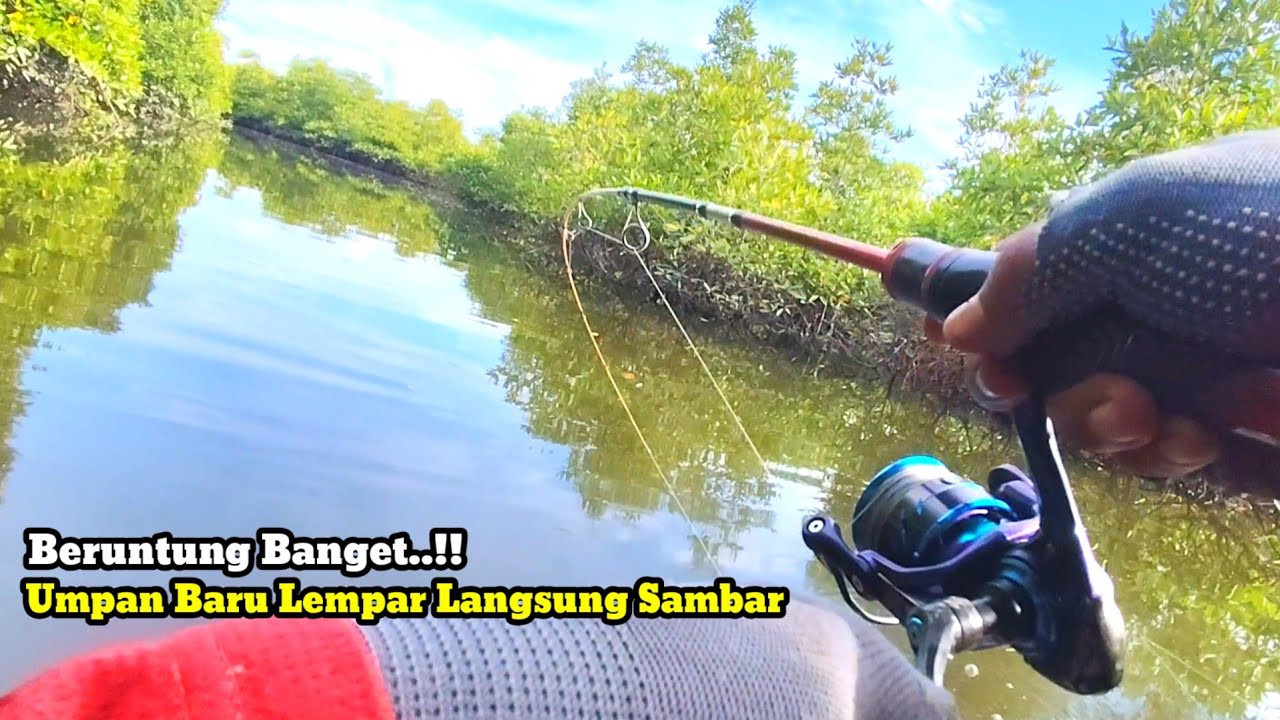 Beruntung Banget...!! Umpan Baru lempar langsung sambar