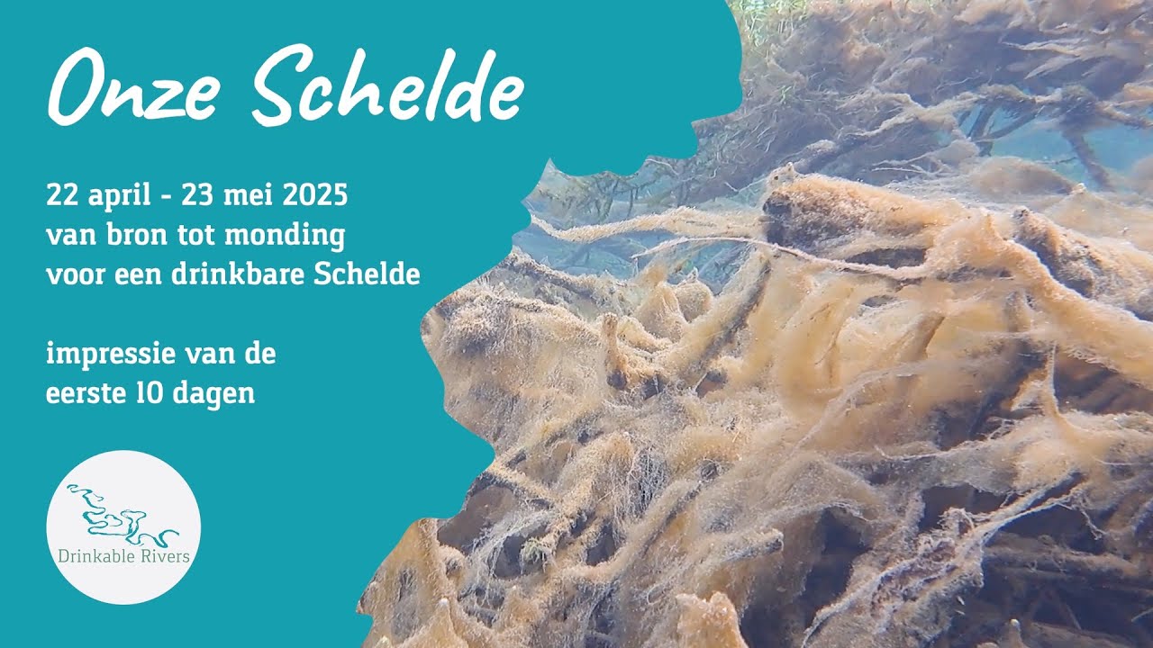 Onze Schelde / Notre Escaut - video 1