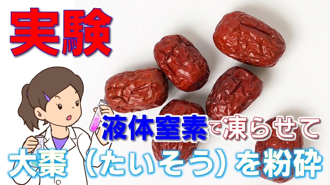 ユーザー様からのリクエスト！　漢方シリーズ　ナツメの成熟した果実を乾燥させた生薬である「大棗（たいそう）」を粉々にしてみた！