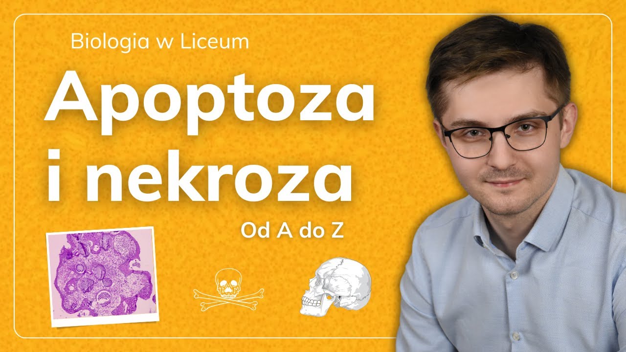 Proces apoptozy i nekrozy od A do Z
