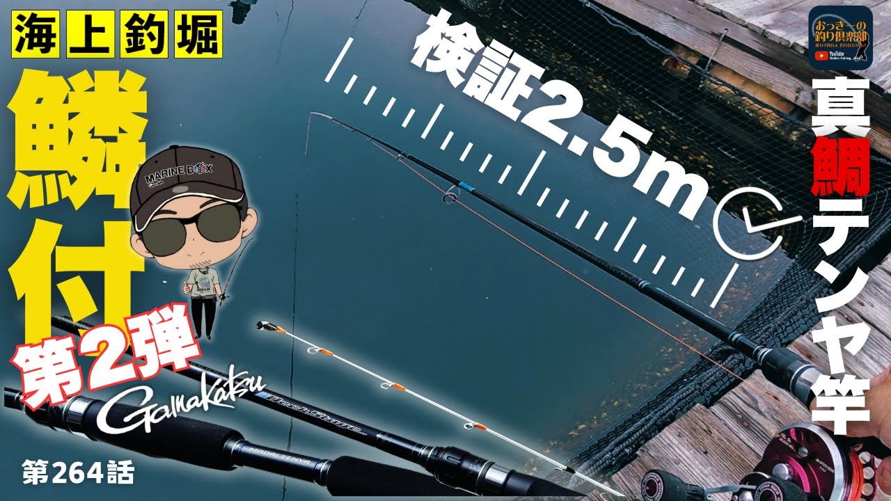 【海上釣堀】多彩なアタリ！ラインと穂先で鯛を掛ける短竿の威力！！