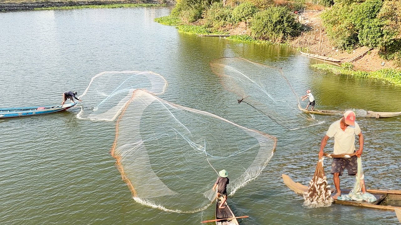 ត្រីប៉ោងប្រយុង - អ្នកជំនាញរកត្រីតាមស្ទឹង Ep10