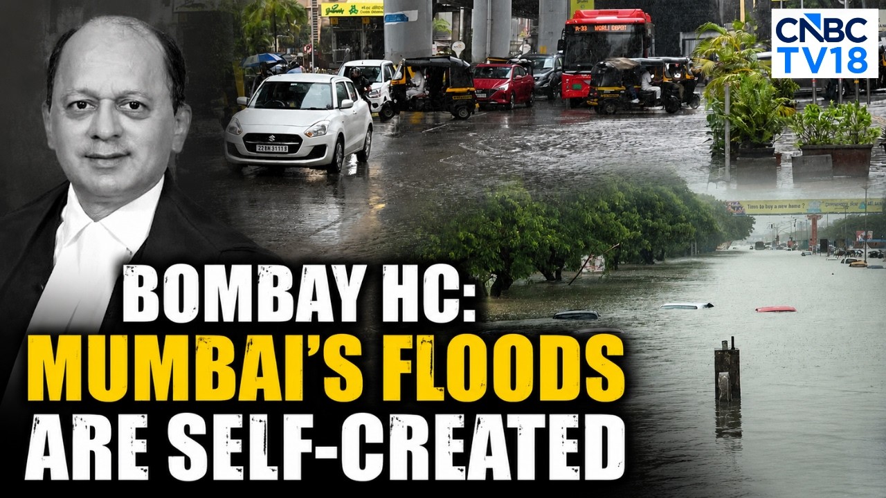 'We Rob Our Own Motherland' | Bombay HC Slams Mumbaikars Over Waterlogging | Monsoon Chaos Continues
