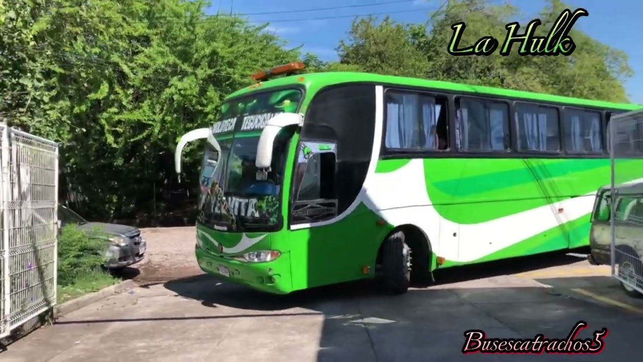 Transportes Mi Yelvita y Blanquita Express