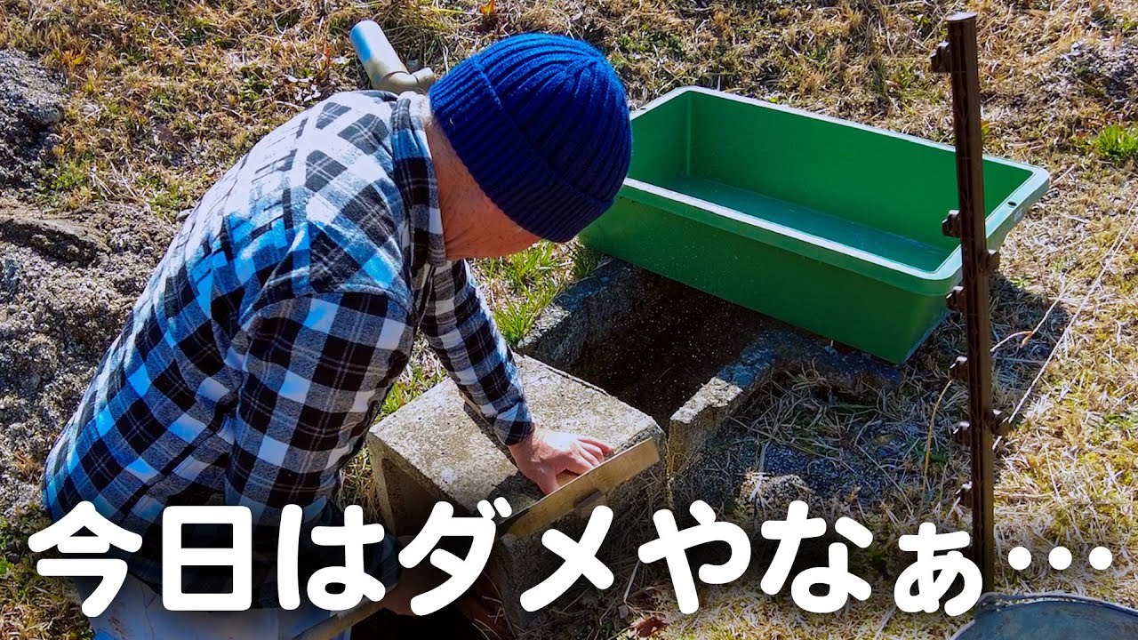 田舎暮らしは大変！いつも思うようにいくとは限りません！ダメダメな一日もあって良いですよね！【山口県】vlog