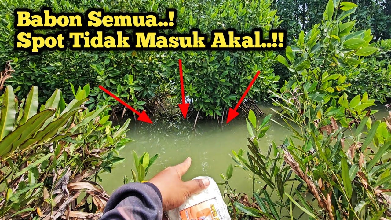 Spot Gk Ngotak..!! SUNGAI KECIL IKANYA BABON-BABON..!!