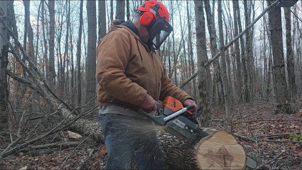 Обзор пилы Holzfforma G372XP: первый раунд, полевые испытания и первые пропилы