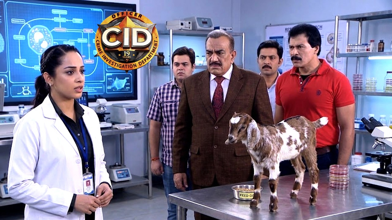 CID की लैब में पहुंची रहस्यमयी बकरी | CID Investigation | एक बकरी और खतरनाक साज़िश | CID Episode